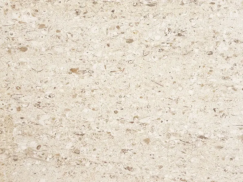 Moca Cream Thick grain limestone